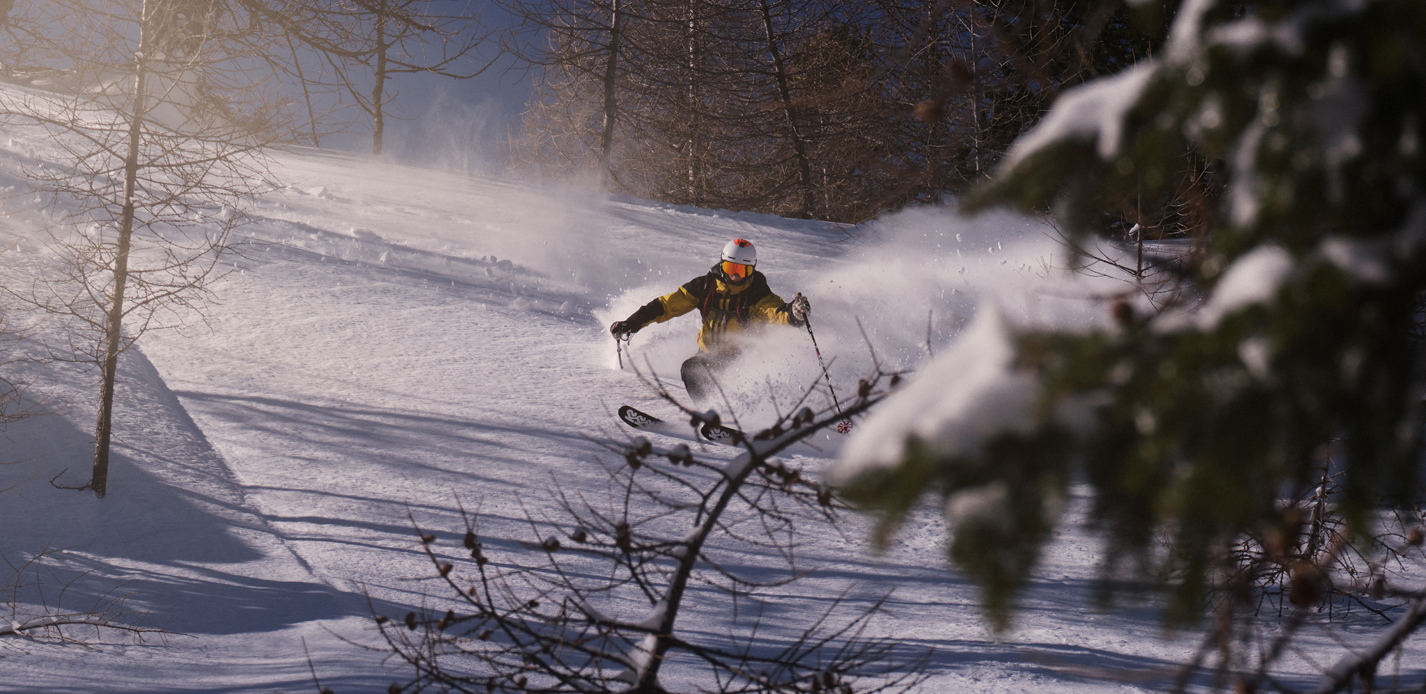 Skiing Apocalypse