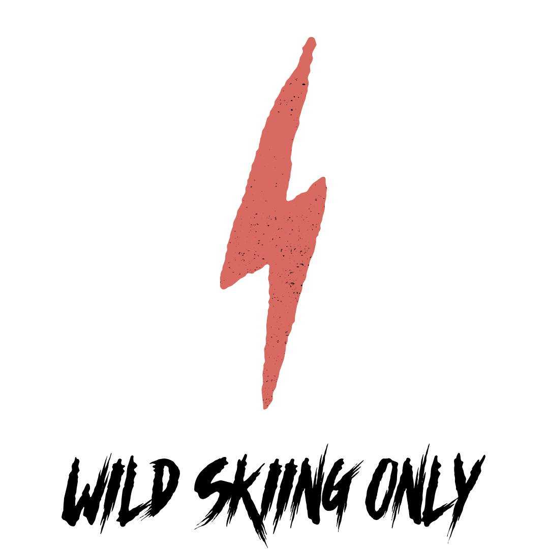 WSO Logo